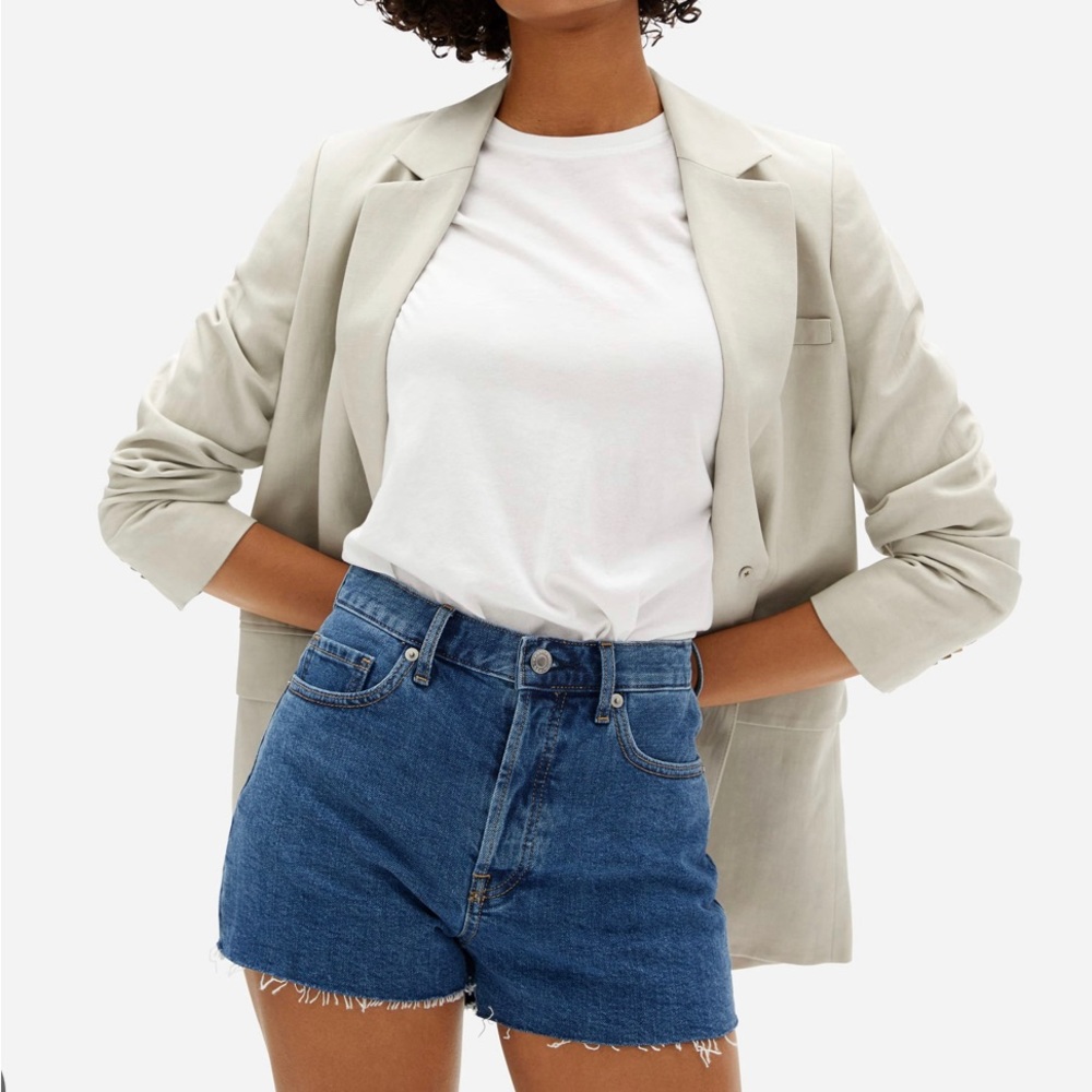 Everlane cheeky cutoff denim short